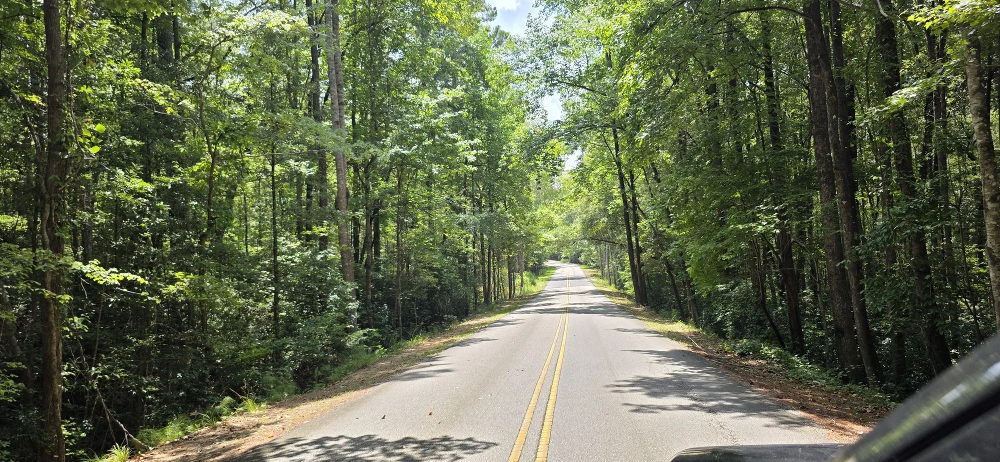 Tree-lined two-lane heading into Coker