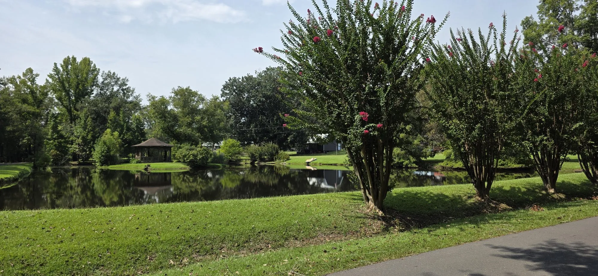 Pond ringed by crape myrtles in Duncanville