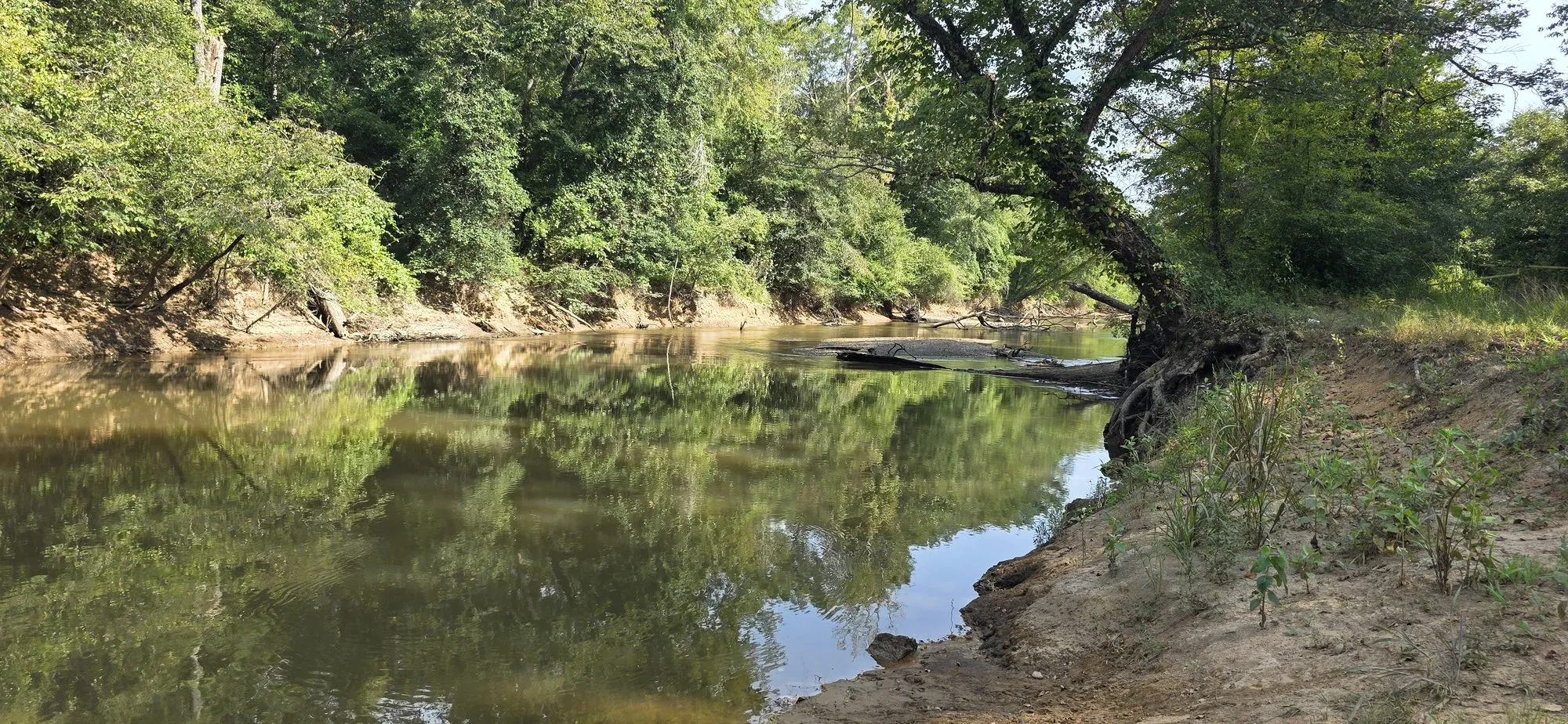 The Sipsey River near Echola