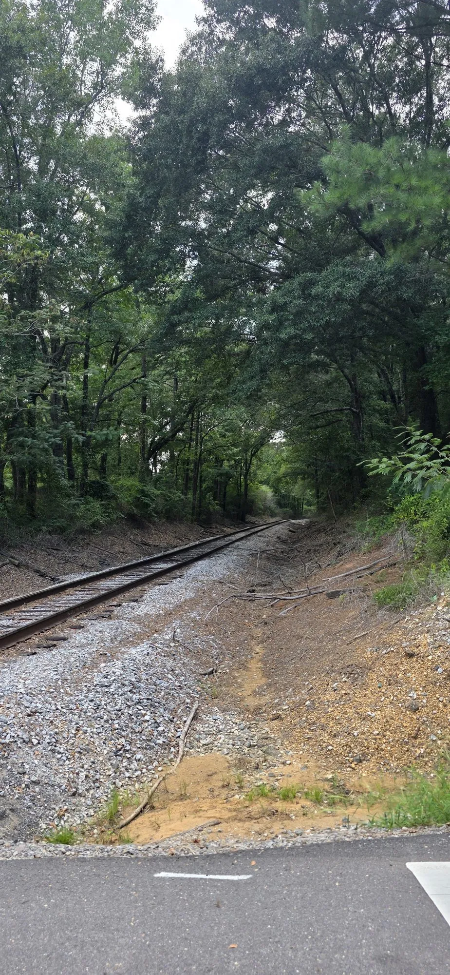 The rail line through Elrod