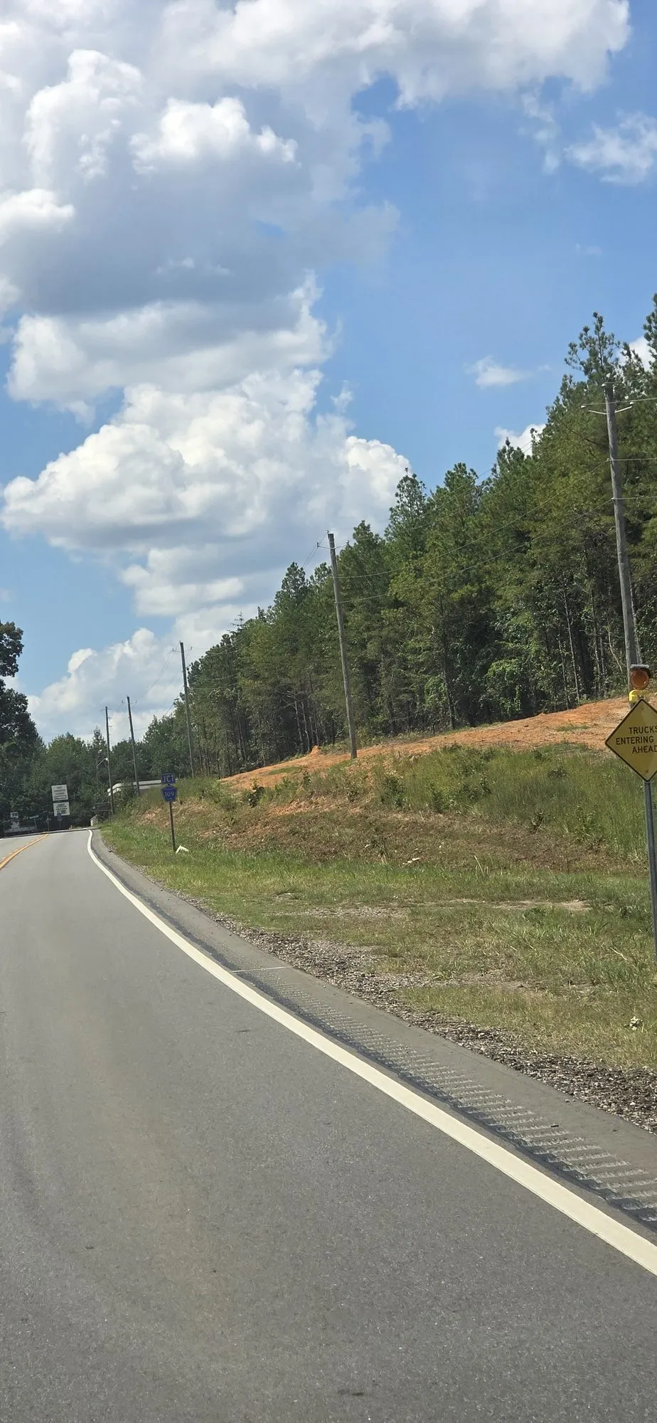Two-lane road climbing past a pine ridge at Holt