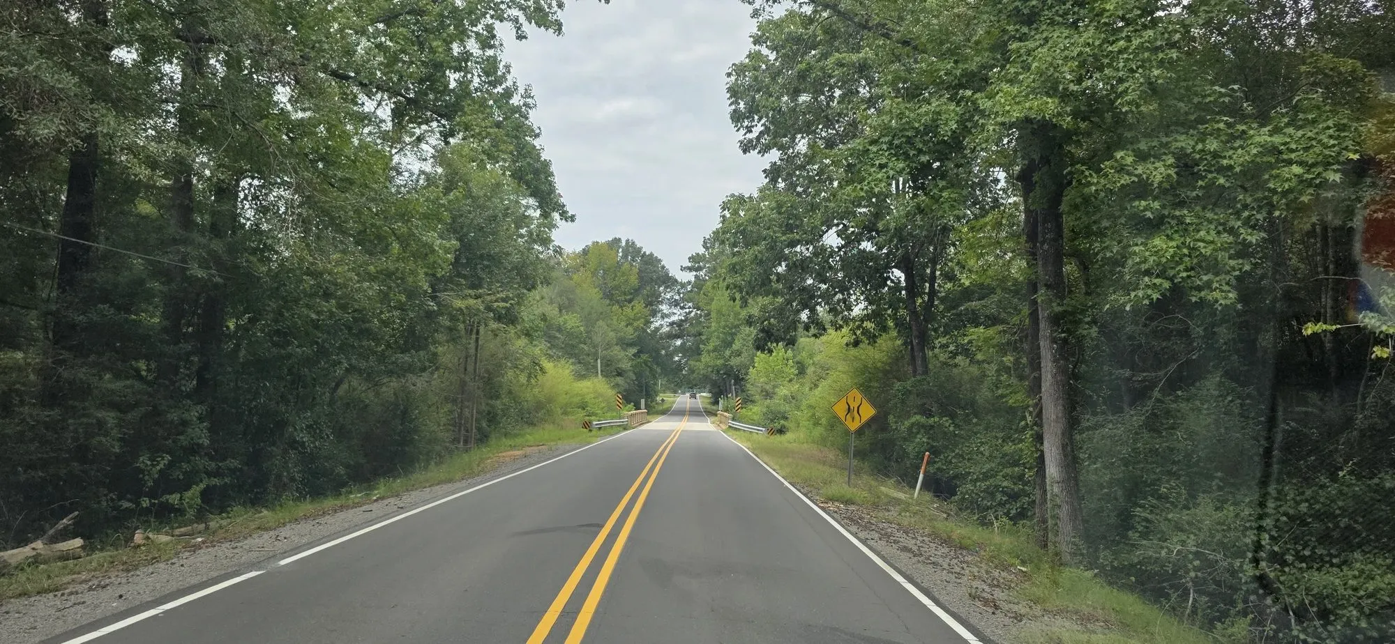 Two-lane country road through the pines in Ralph