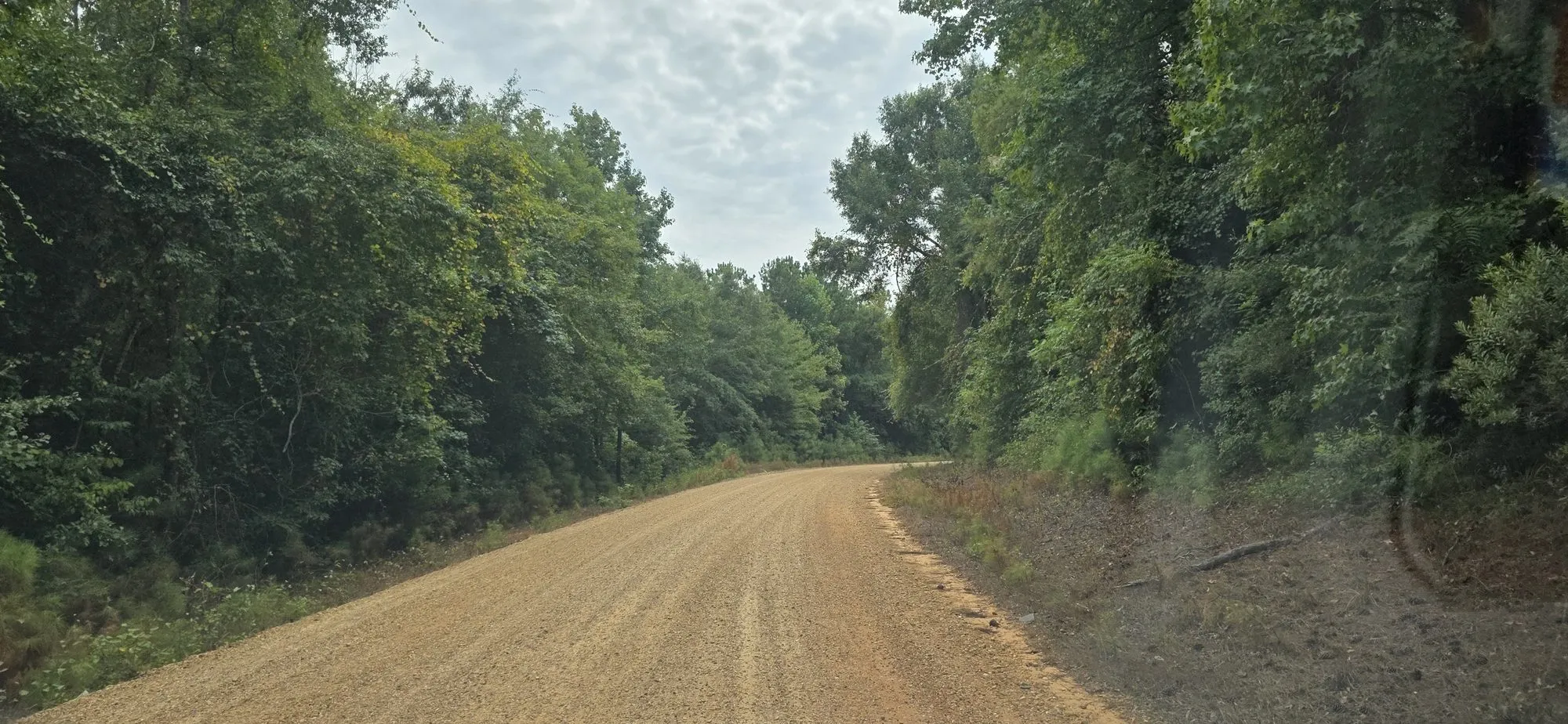 Red dirt road through the woods in Ralph