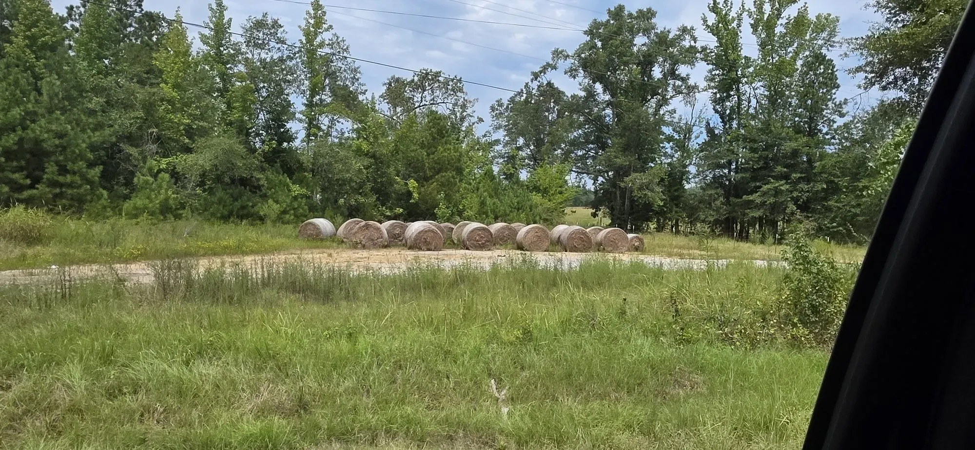 Hay bales in a field in Ralph
